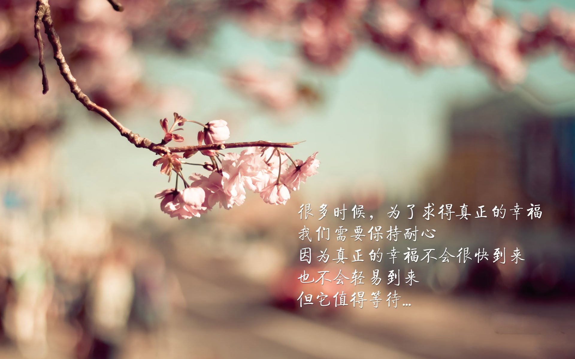 kaiyun开云·官方网站-“青春飞扬”青少年篮球明星定向培养项目在广州全面启动，打造新一代领军人物