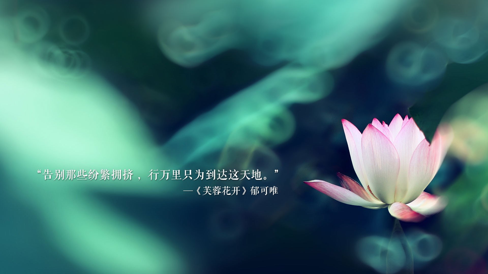 开云·体育官网APP下载-国家田径队集训开营，刘翔亲临指导新秀，田径比赛刘翔
