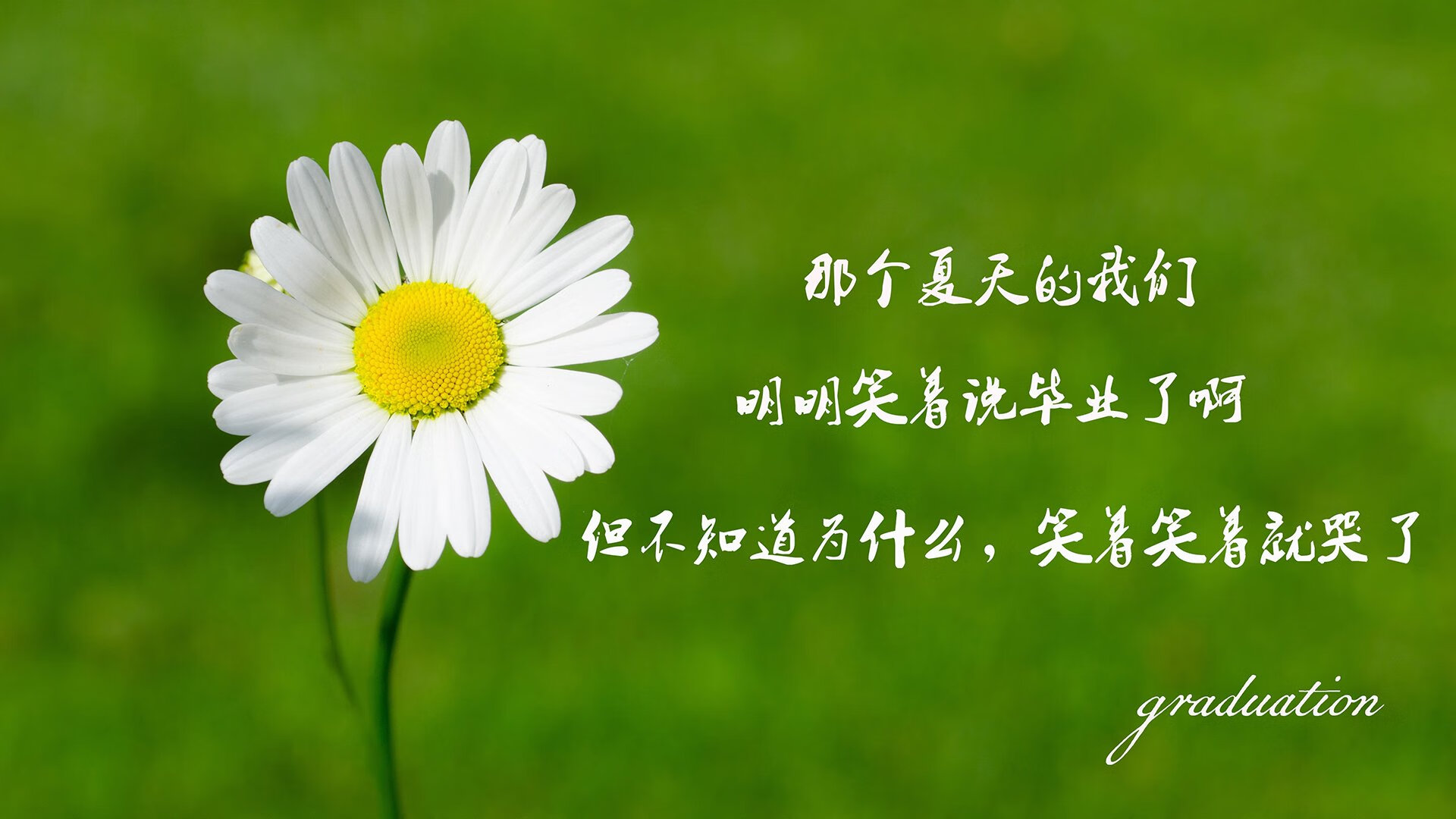 kaiyun 开云体育-塞尔赫斯特主场爆冷击败对手，提升联赛排名，赫塞尔本