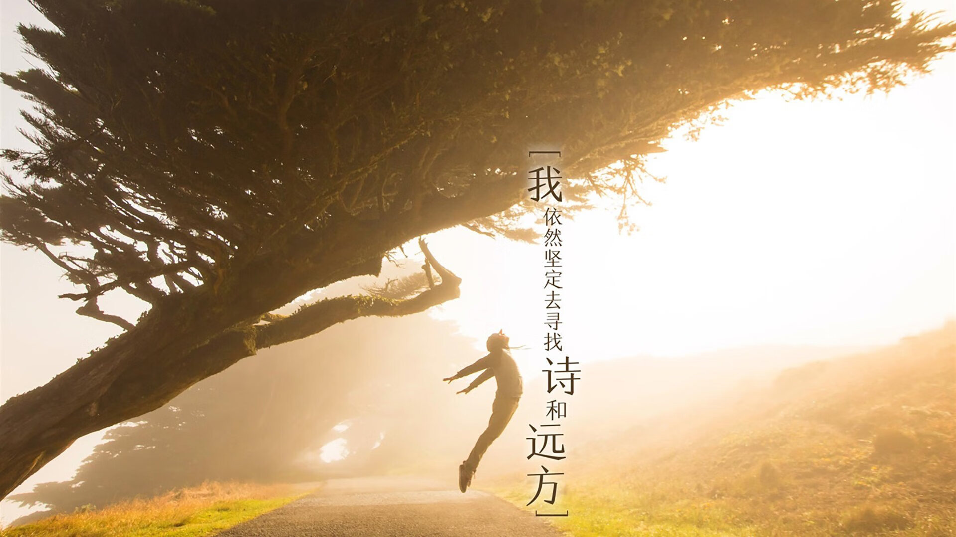 体育赛事安全保障机制，加强体育赛事安全
