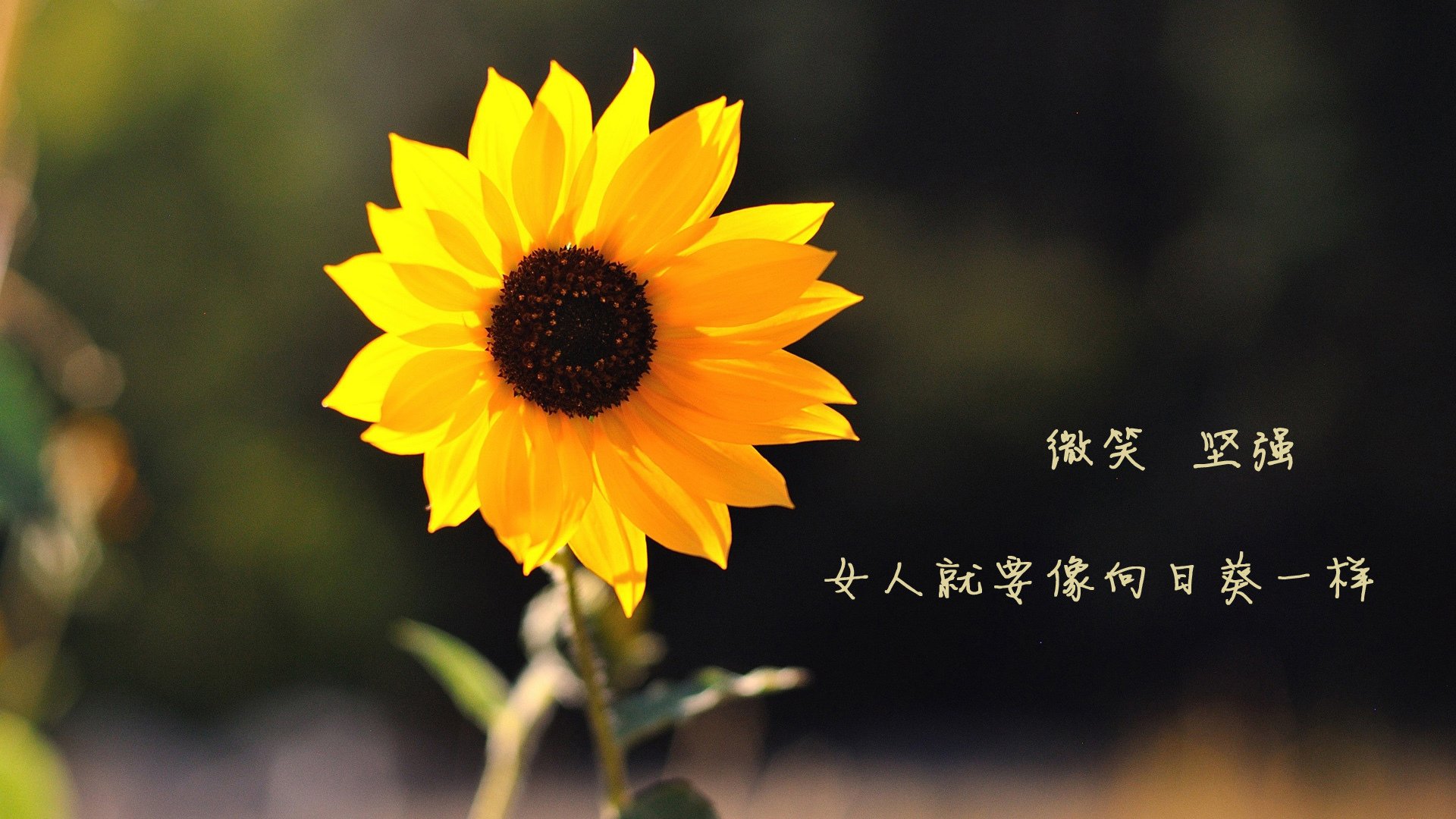 博塔弗戈球员体能下降影响后半场表现，博塔弗戈vs累体育