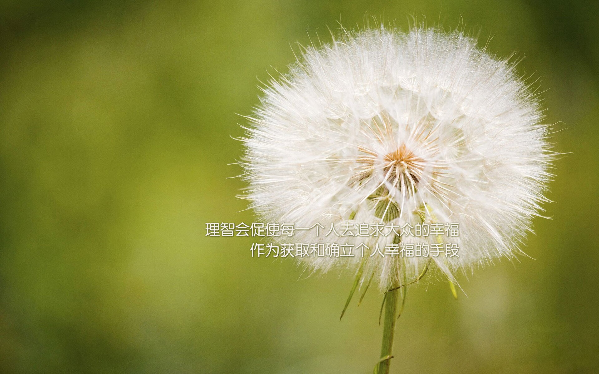 开云入口-朝鲜仰泳选手实力大幅提升，朝鲜游泳