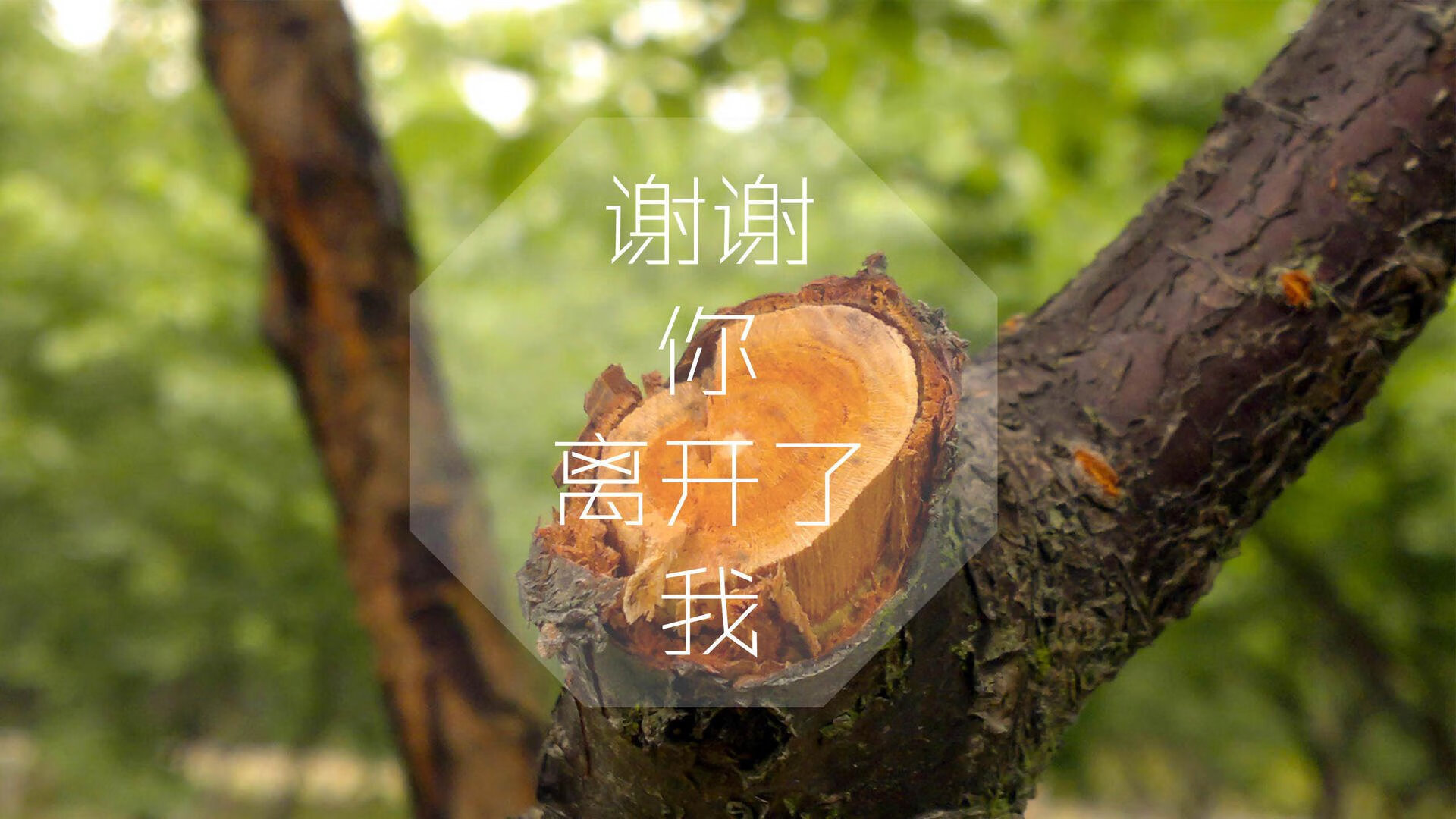 kaiyun登录入口-法国队混合4×100米自由泳接力发挥出色，法国队自由人