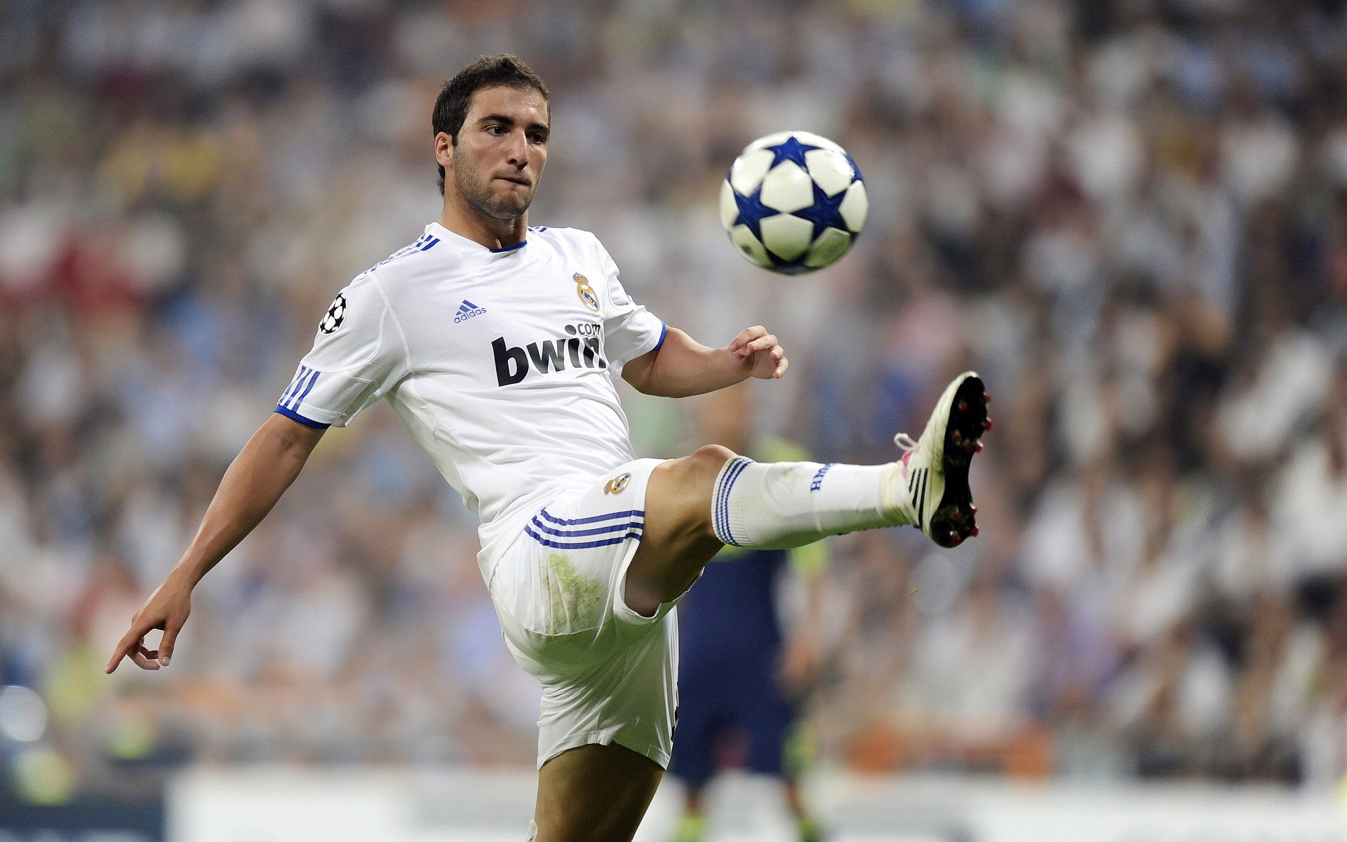 _运动员赛前准备：训练细节揭秘_，运动员赛前准备有哪些